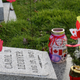 Illustration for article titled 2018 Remembrance Day at Mountain View Cemetery